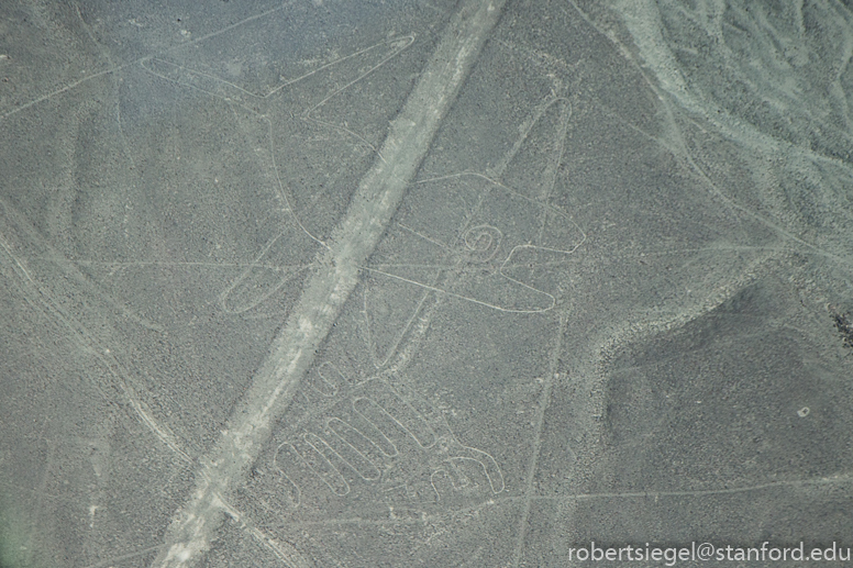 nazca